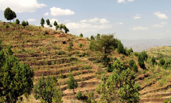 Konso
