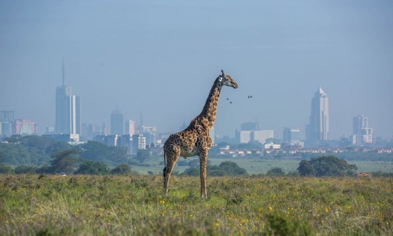 Kenya